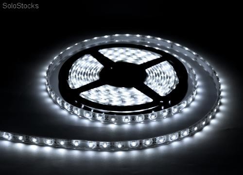 CINTA LED BLANCA